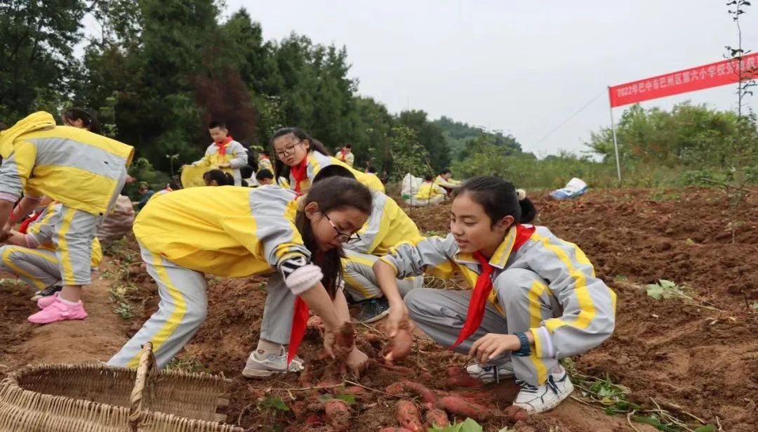 微信图片_20221020005354.jpg 微信图片_20221020005354.jpg